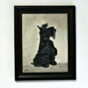 Scottish Terrier Art-ART-2178