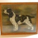 Springer Spaniel Art-ART-2184