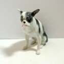 Vintage Boston Terrier Porcelain Figurine-CRM-2262